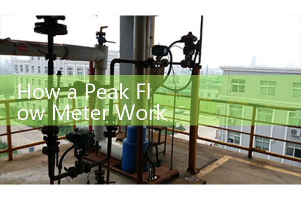 How a Peak Flow Meter Works: Monitoring Lung Capacity at Home